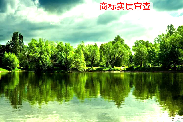 注冊的商標進入實質(zhì)審查階段都審查什么內(nèi)容?