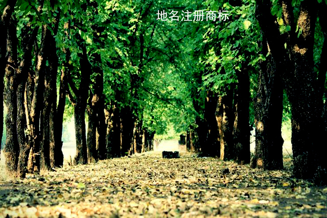 使用地名注冊商標可以嗎? 使用地名注冊商標可以嗎?