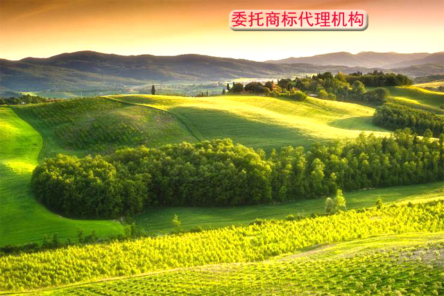 商標(biāo)代理機(jī)構(gòu) 商標(biāo)代理機(jī)構(gòu)