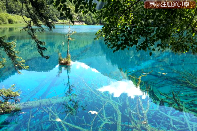 商標(biāo)注冊(cè)提高通過率的具體操作