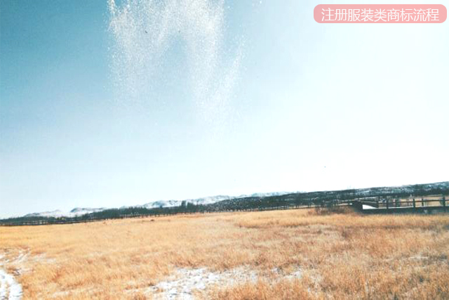 注冊服裝類商標(biāo)的流程是怎樣的? 注冊服裝類商標(biāo)的流程是怎樣的?