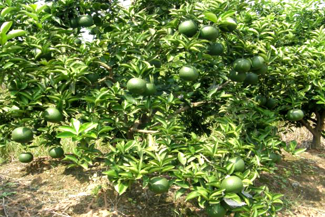 注冊商標(biāo)在哪里查 注冊商標(biāo)在哪里查